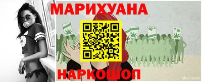 стаф Будённовск