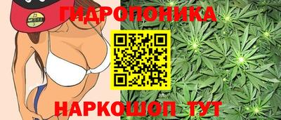 стаф Будённовск