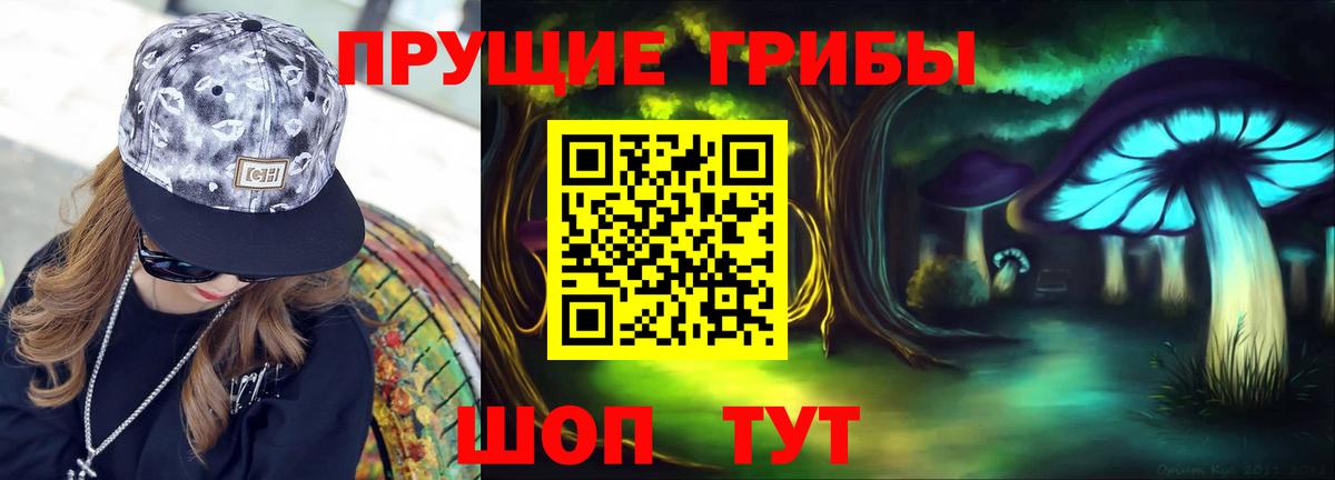 Смоленск  Галлюциногенные грибы Psilocybe  Галлюциногенные грибы Psilocybe  Вход с VPN 